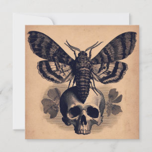 Moth on Skull Antique Goth Horror Illustration Kort