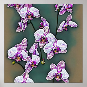 Moth Orchid - Canvas Art-utskrift Poster