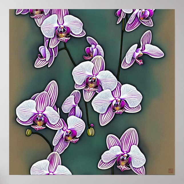Moth Orchid - Canvas Art-utskrift Poster (Framsidan)