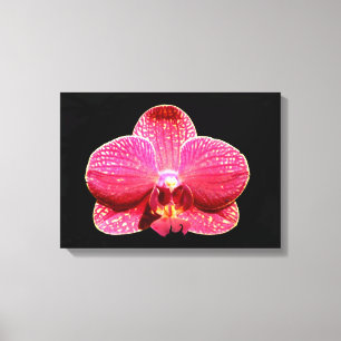 Moth Orchid-Kanvastryck Canvastryck