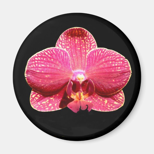Moth Orchid Magnet (Framsidan)