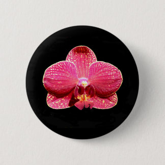 Moth Orchid-märke Knapp