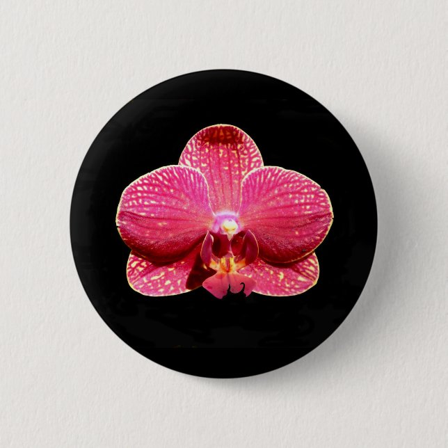 Moth Orchid-märke Knapp (Framsida)