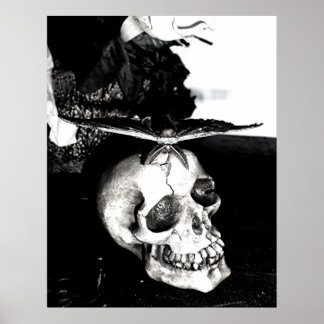 Moth på en skalle poster