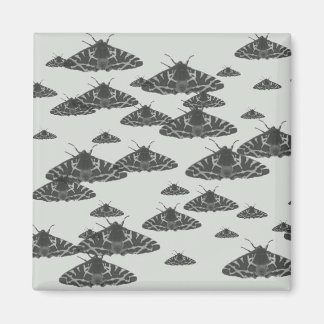 Moth på natten lurade i midnatt magnet