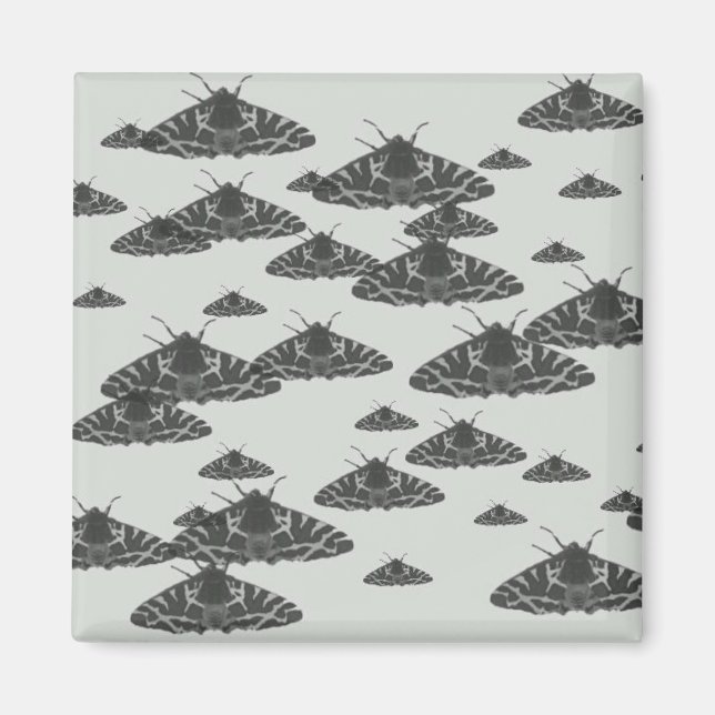 Moth på natten lurade i midnatt magnet (Framsidan)