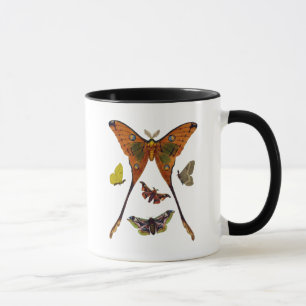 Moth Plate 2 Mugg