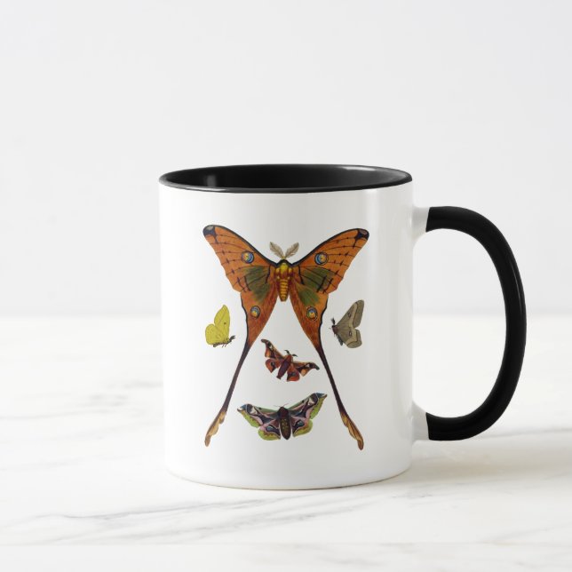 Moth Plate 2 Mugg (Höger)
