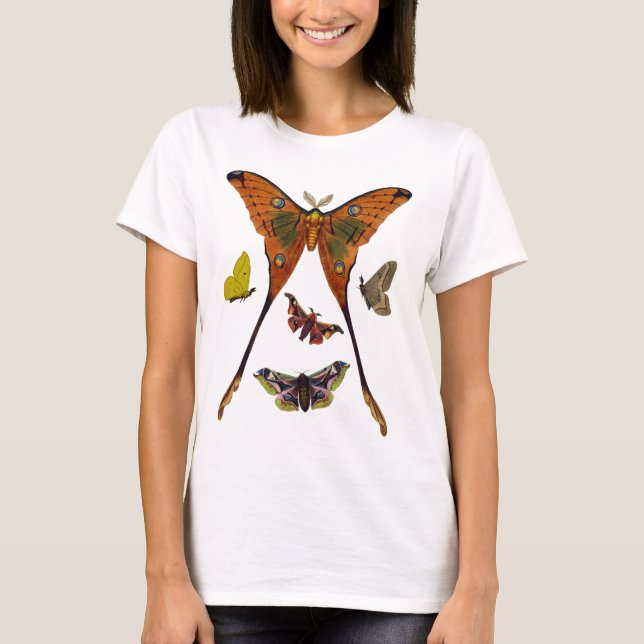 Moth Plate 2 Tee Shirt (Framsida)