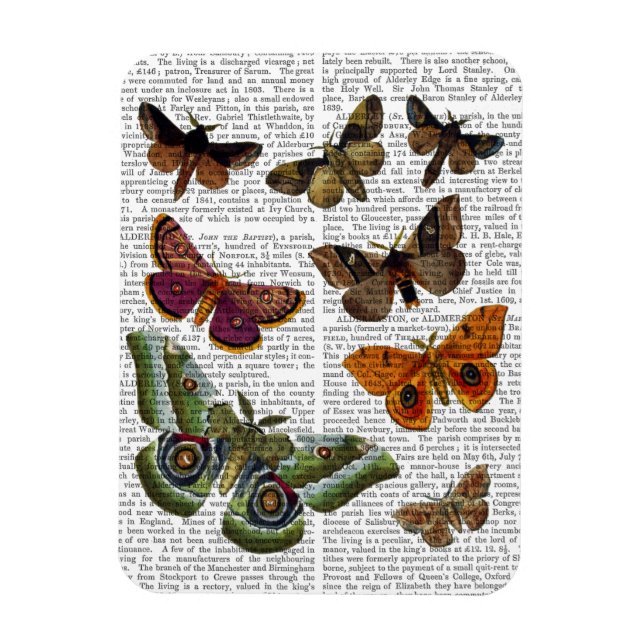 Moth Plate 3 Magnet (Vertikal)