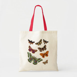 Moth Plate 3 Tygkasse