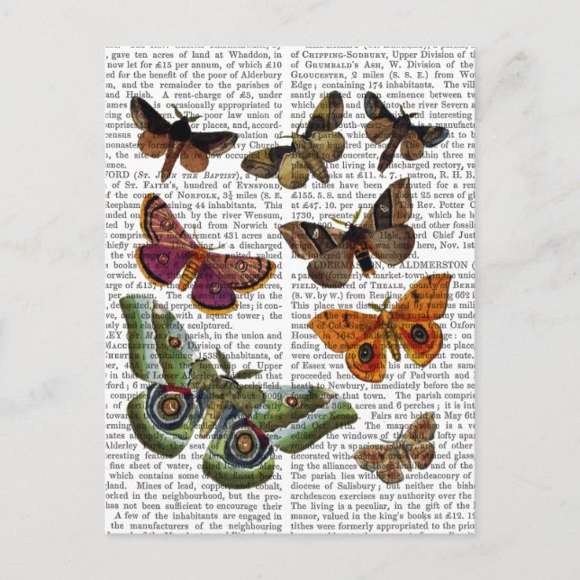 Moth Plate 3 Vykort (Framsida)