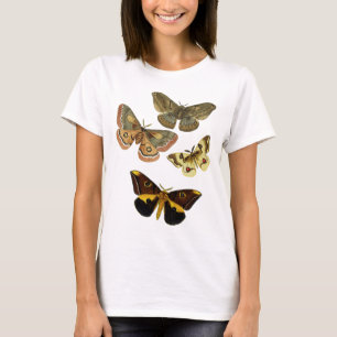 Moth Plate 4 T Shirt