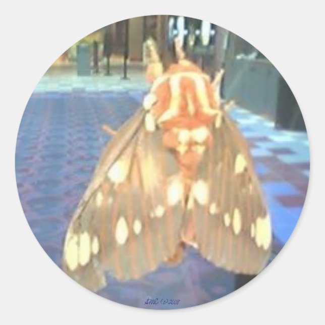 Moth Runt Klistermärke (Framsida)