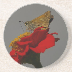 Moth Underlägg