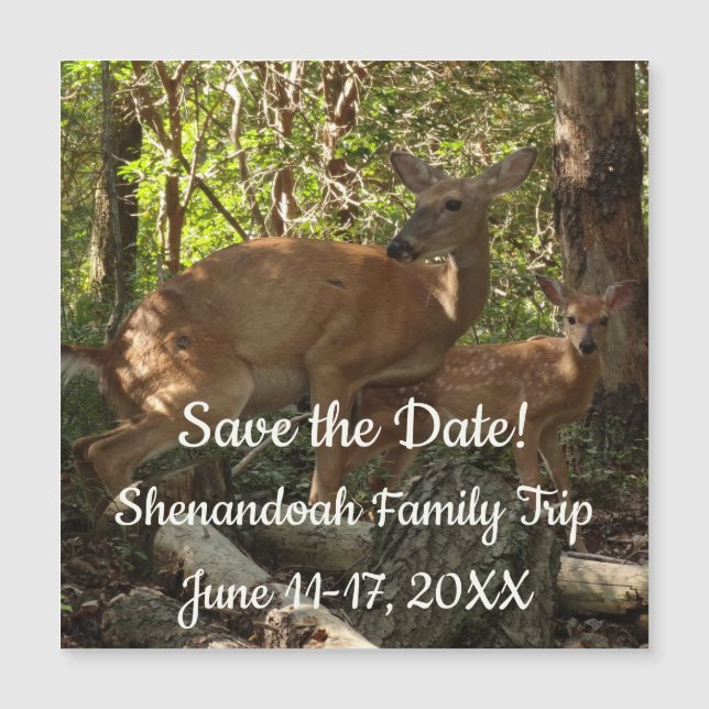 Mother and Baby Deer at Shenandoah National Park (Framsida)