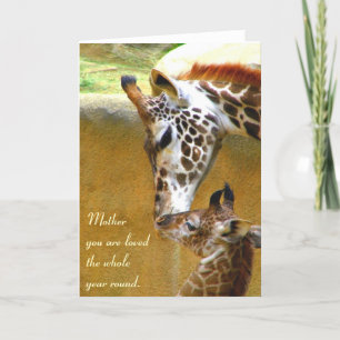 Mother_Card Kort