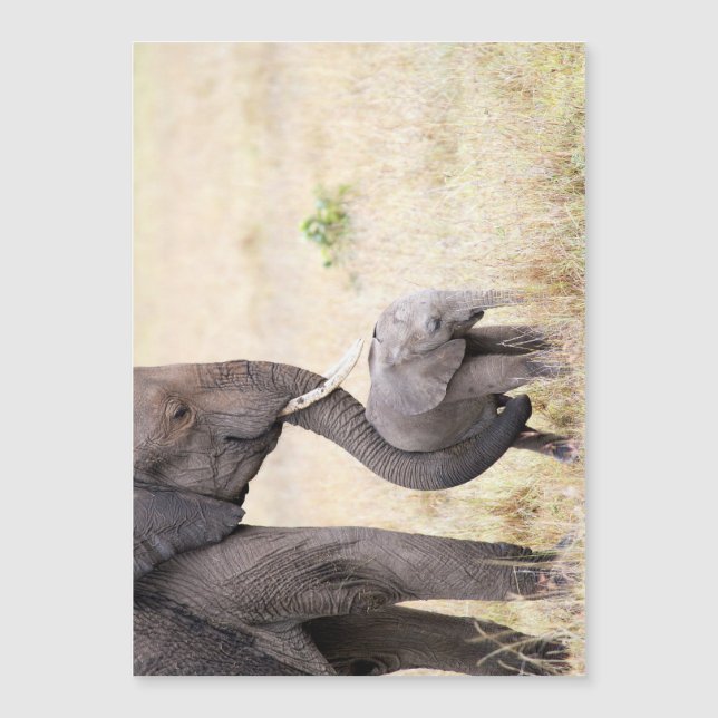 Motherly kärlek (Framsida)