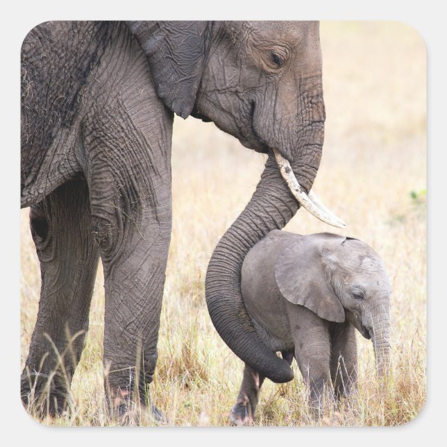 Motherly kärlek-foto fyrkantigt klistermärke (Framsida)