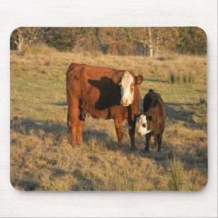 Motherly Kärlek.... Musmatta