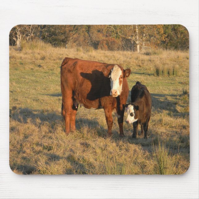 Motherly Kärlek.... Musmatta (Framsidan)