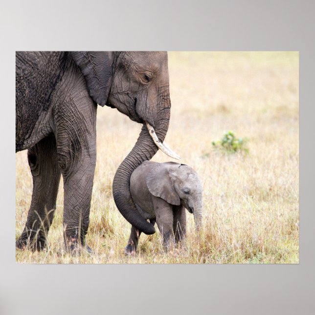 Motherly kärlek poster (Framsidan)