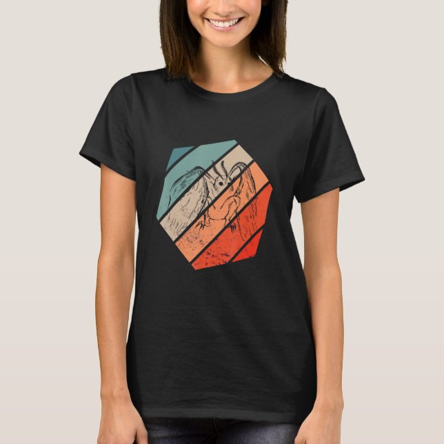 Mothman Cryptozoology Hexa Retro Folklore Cryptid T Shirt (Framsida)