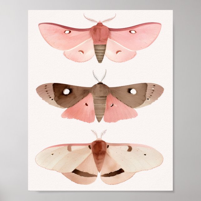 Moths for Good Fortune  Poster (Framsidan)