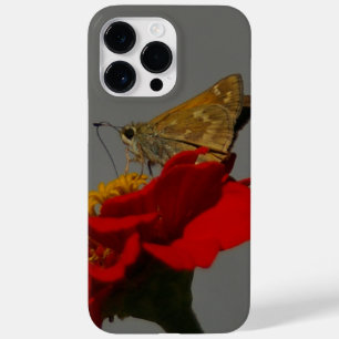 Moths och Red Zinnia