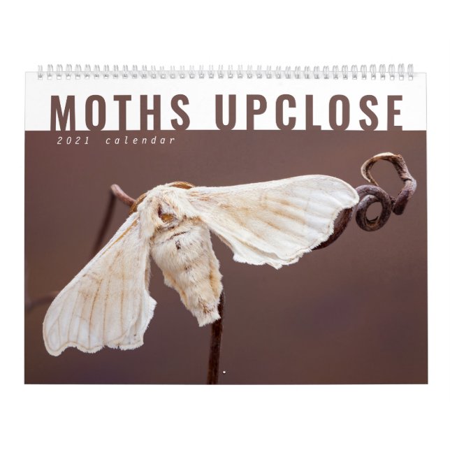 MOTHS UPCLOSE 2021 CALENDAR KALENDER (Omslag)