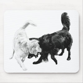 Motion Over Words Musmatta