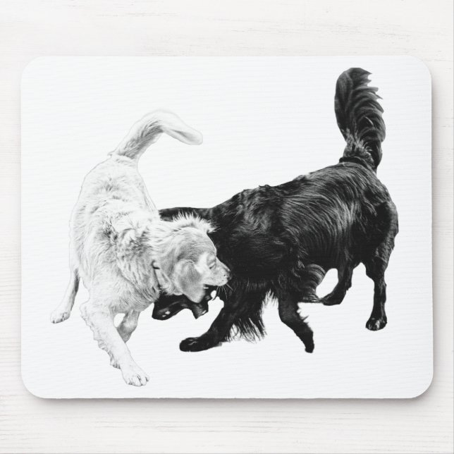 Motion Over Words Musmatta (Framsidan)