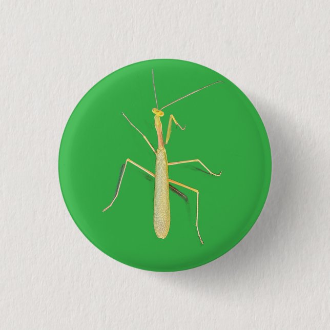 Motionless Mantis Knapp (Framsida)