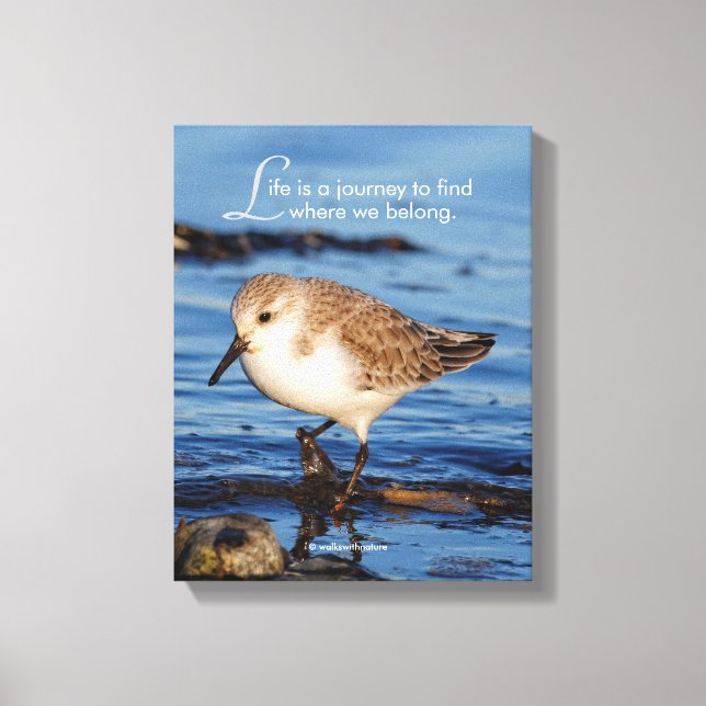 Motiv "Life is a Journey" Sanderling Canvastryck (Framsida)
