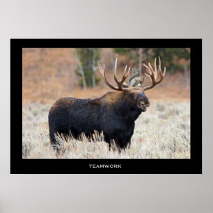 Motiv och Poster "TEAMWORK"