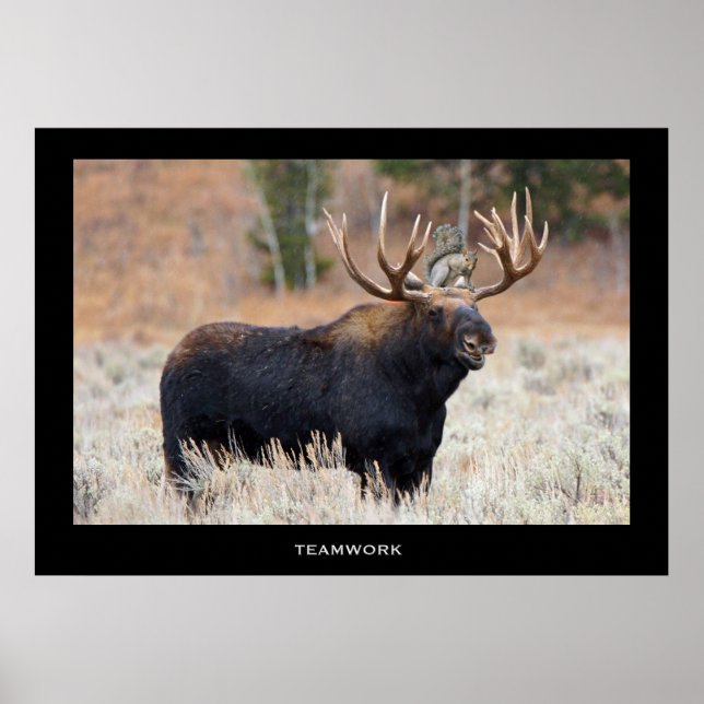 Motiv och Poster "TEAMWORK" (Framsidan)