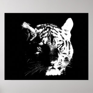 Motiv tiger Öga Black & White Poster