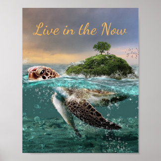 Motiv turtle Quote Live in the Now Poster