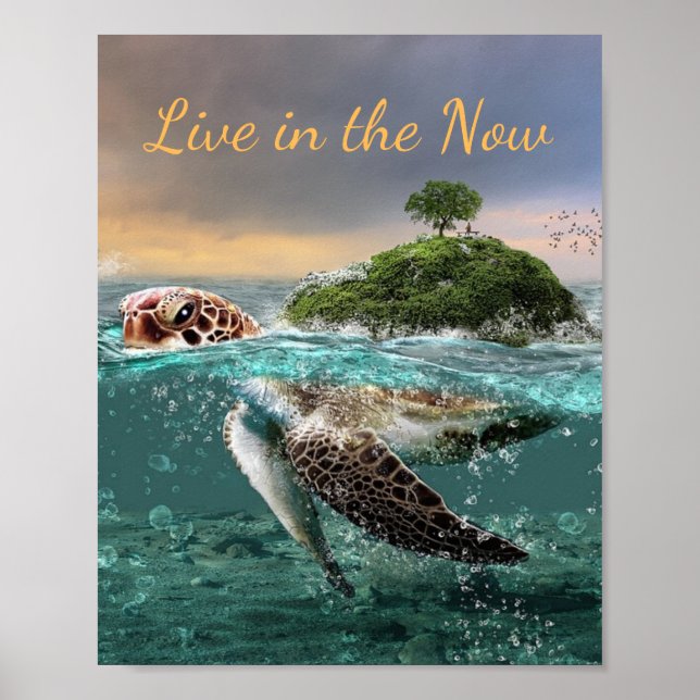 Motiv turtle Quote Live in the Now Poster (Framsidan)