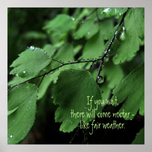 Motivational affisch för Fern och för Raindrops