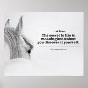 Motivational affisch "hemligheten till liv… ",