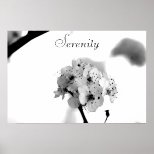 Motivational Affisch-Serenity Poster