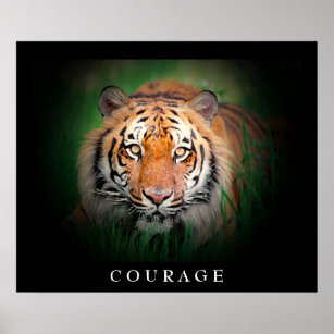 Motivational Courage Tiger Öga Poster