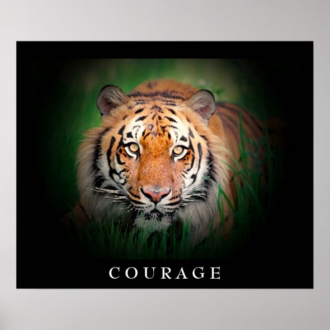 Motivational Courage Tiger Öga Poster (Framsidan)