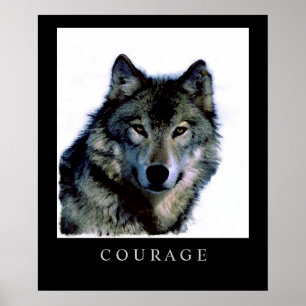 Motivational Courage Varg Ansikte Head Poster Skri