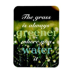 Motivational gräs är mer grön var du bevattnar magnet