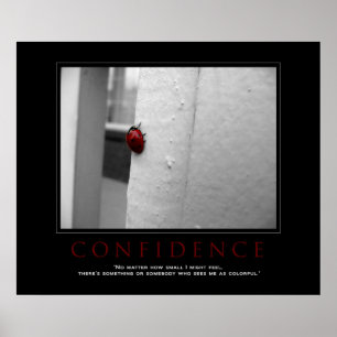 Motivational Ladybug "Confidence" Poster