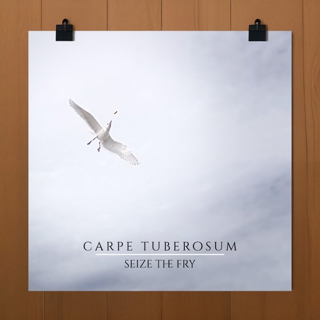 Motivational Seagull Carpe Diem French Fries Mini Poster (Funny poster of a seagull catching & eating french fries in mid air with motivational quote)