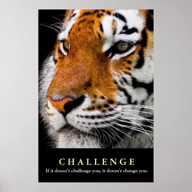 Motivational Tiger Ansikte Challenge Quote Poster (Framsidan)