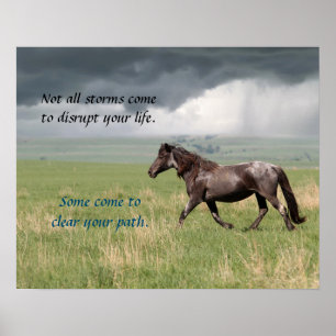 Motivational Vild Mustang Horse Poster